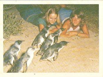 1978 Weet-Bix Journey Around Australia #6 Phillip Island Front