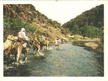 1978 Weet-Bix Journey Around Australia #16 Frome Creek Front