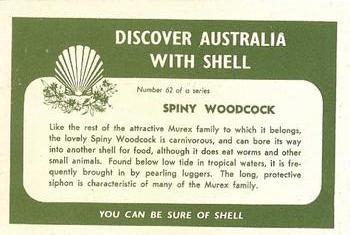 1959 Shell Project Cards; Series 2, Shells, Fish and Coral #62 Spiny Woodcock Back