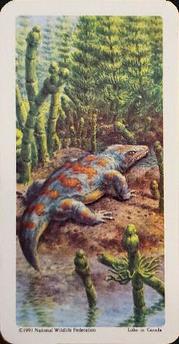 1991 Lipton Red Rose Dinosaurs and Other Fossils (Test Issue) #4 Seymouria Front