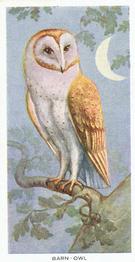 1939 Carreras Birds of the Countryside #1 Barn-Owl Front