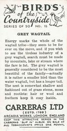 1939 Carreras Birds of the Countryside #15 Grey Wagtail Back