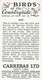 1939 Carreras Birds of the Countryside #20 Jay Back