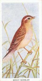1939 Carreras Birds of the Countryside #35 Sedge-Warbler Front