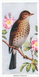 1939 Carreras Birds of the Countryside #37 Song-Thrush Front