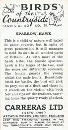 1939 Carreras Birds of the Countryside #38 Sparrow-Hawk Back