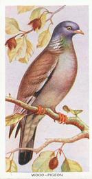1939 Carreras Birds of the Countryside #48 Wood-Pigeon Front