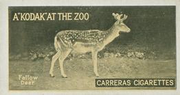 1924 Carreras A 