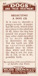 1924 Major Drapkin & Co. Dogs and Their Treatment #2 Great Dane Back