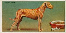 1924 Major Drapkin & Co. Dogs and Their Treatment #2 Great Dane Front