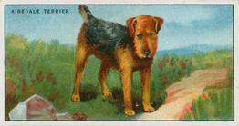 1924 Major Drapkin & Co. Dogs and Their Treatment #3 Airedale Terrier Front