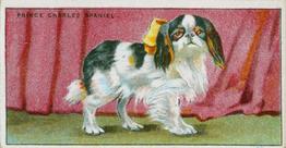 1924 Major Drapkin & Co. Dogs and Their Treatment #10 Prince Charles Spaniel Front