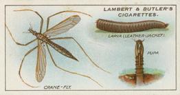 1930 Lambert & Butler Garden Life #7 Crane-fly, Larva and Pupa Front