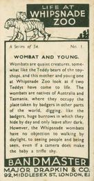 1934 Major Drapkin & Co. Life at Whipsnade Zoo #1 Wombat and Young Back