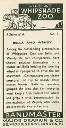 1934 Major Drapkin & Co. Life at Whipsnade Zoo #3 Bella and Wendy Back