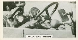 1934 Major Drapkin & Co. Life at Whipsnade Zoo #3 Bella and Wendy Front