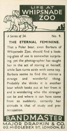 1934 Major Drapkin & Co. Life at Whipsnade Zoo #9 The Eternal Feminine Back