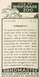 1934 Major Drapkin & Co. Life at Whipsnade Zoo #13 “Strength” Back