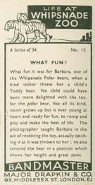 1934 Major Drapkin & Co. Life at Whipsnade Zoo #15 What Fun! Back