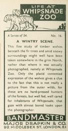 1934 Major Drapkin & Co. Life at Whipsnade Zoo #16 A Wintry Scene Back