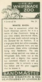 1934 Major Drapkin & Co. Life at Whipsnade Zoo #31 White Rhea Back