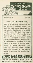 1934 Major Drapkin & Co. Life at Whipsnade Zoo #44 Bill of Whipsnade Back