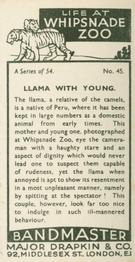 1934 Major Drapkin & Co. Life at Whipsnade Zoo #45 Llama with Young Back