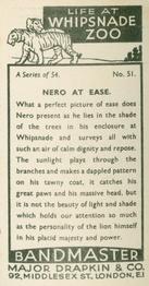 1934 Major Drapkin & Co. Life at Whipsnade Zoo #51 Nero at Ease Back
