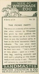 1934 Major Drapkin & Co. Life at Whipsnade Zoo #53 The Picnic Party Back