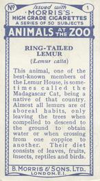 1924 Morris's Animals at the Zoo #1 Ring-tailed Lemur Back