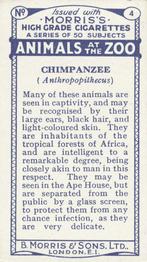 1924 Morris's Animals at the Zoo #4 Chimpanzee Back