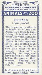 1924 Morris's Animals at the Zoo #7 Leopard Back