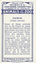 1924 Morris's Animals at the Zoo #13 Jackal Back