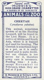 1924 Morris's Animals at the Zoo #17 Cheetah Back