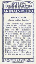 1924 Morris's Animals at the Zoo #18 Arctic Fox Back