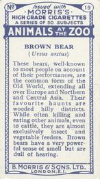 1924 Morris's Animals at the Zoo #19 Brown Bear Back