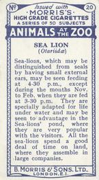 1924 Morris's Animals at the Zoo #20 California Sea Lion Back