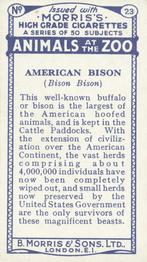 1924 Morris's Animals at the Zoo #23 American Bison Back