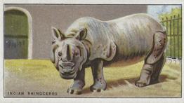 1924 Morris's Animals at the Zoo #42 Indian Rhinoceros Front