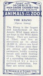 1924 Morris's Animals at the Zoo #44 The Kiang Back