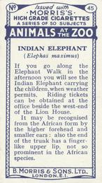 1924 Morris's Animals at the Zoo #45 Indian Elephant Back