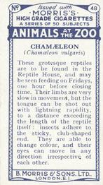 1924 Morris's Animals at the Zoo #48 Chameleon Back