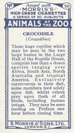 1924 Morris's Animals at the Zoo #50 Crocodile Back
