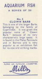 1961 Mills Aquarium Fish #5 Clown Barb Back