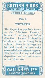 1923 Gallaher British Birds #5 Wryneck Back