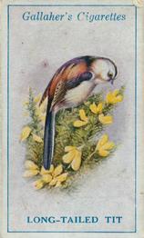 1923 Gallaher British Birds #7 Long-Tailed Tit Front