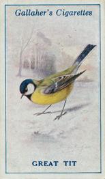 1923 Gallaher British Birds #8 Great Tit Front