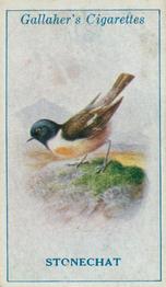 1923 Gallaher British Birds #9 Stonechat Front