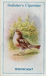 1923 Gallaher British Birds #10 Whinchat Front