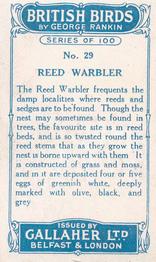 1923 Gallaher British Birds #29 Reed Warbler Back